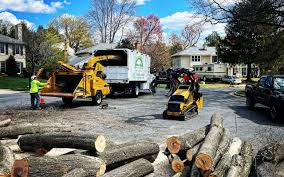 Best Arborist Consultation Services  in Lubeck, WV